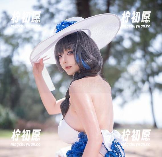 大快朵颐的图库：菌烨tako与Nikke阿妮斯泳装的绝妙配合！